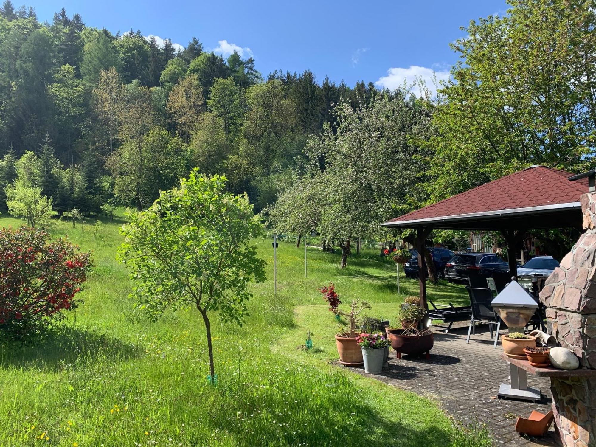 Haus Sonnenwalde - Familie Ruhe Hotel Rohrbach  Exterior foto